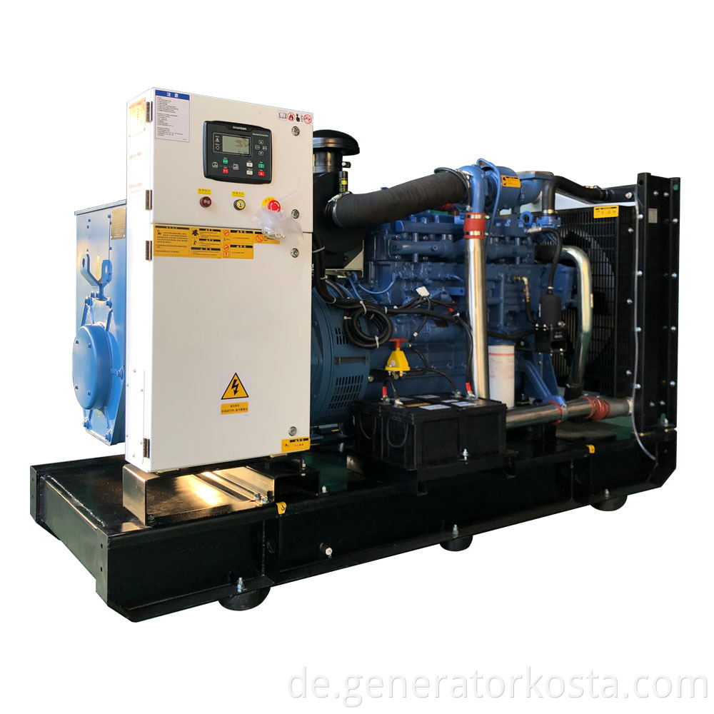 Diesel Generators